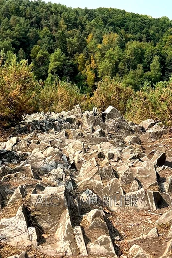 Professionnel Saint-Léonard-des-Bois Professionnel Saint-Léonard-des-Bois