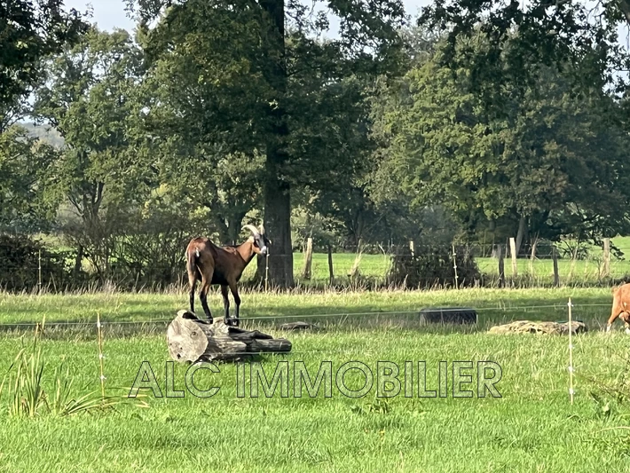 Vente ferme Villeneuve en perseigne  