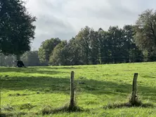 Vente ferme Villeneuve en perseigne Vente ferme Villeneuve en perseigne