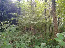 Vente maison Loupfougères  