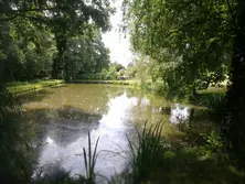 Vente terrain Saint-Rigomer-des-Bois  