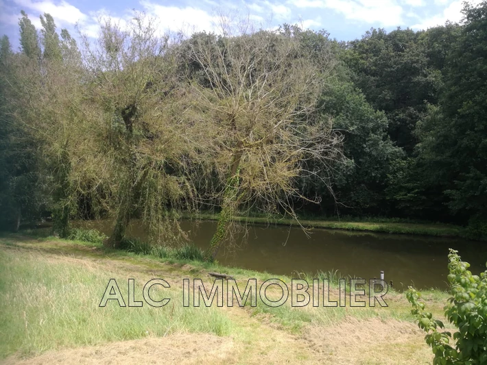 Vente terrain Saint-Rigomer-des-Bois Vente terrain Saint-Rigomer-des-Bois