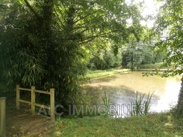 Vente terrain Saint-Rigomer-des-Bois Vente terrain Saint-Rigomer-des-Bois