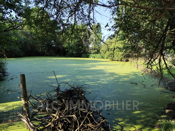 Vente maison Maresché Vente maison Maresché