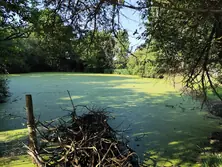 Vente maison Maresché Vente maison Maresché