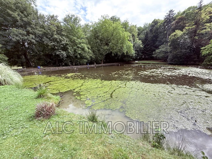 Vente propriété Saint-Denis-sur-Sarthon  