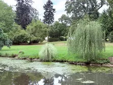 Vente propriété Saint-Denis-sur-Sarthon Vente propriété Saint-Denis-sur-Sarthon