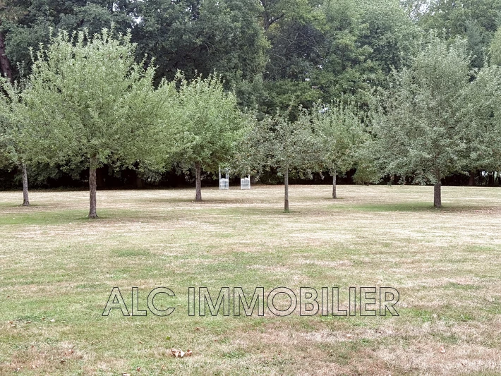 Vente propriété Saint-Denis-sur-Sarthon  