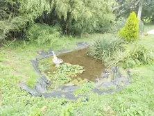 Vente maison Chérancé  