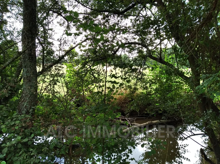 Vente maison Pré-en-Pail  