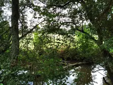 Vente maison Pré-en-Pail Vente maison Pré-en-Pail