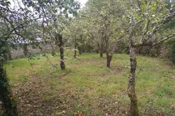 Vente maison Pré-en-Pail-Saint-Samson Vente maison Pré-en-Pail-Saint-Samson