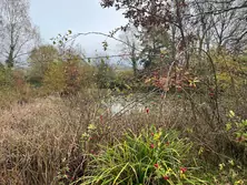 Vente terrain Champfleur  