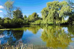 Vente maison Neauphe-sous-Essai Vente maison Neauphe-sous-Essai