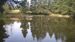 Vente terrain Loupfougères  