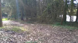 Vente terrain Loupfougères  