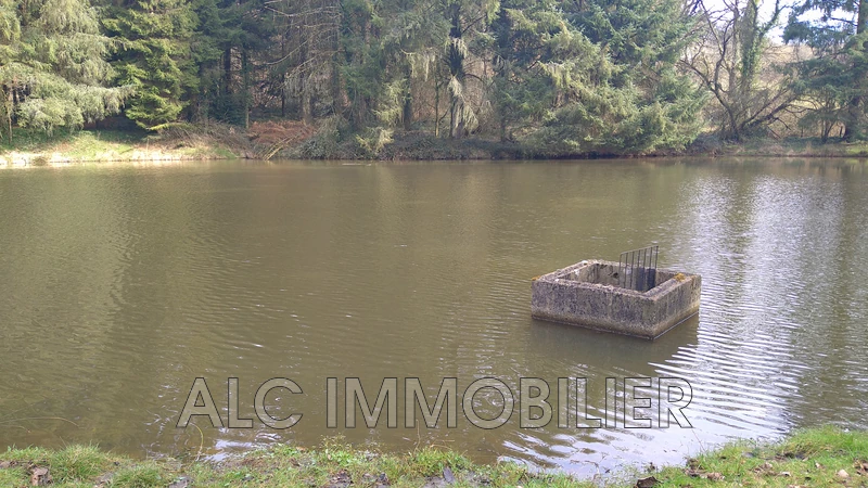 Vente terrain Loupfougères Vente terrain Loupfougères