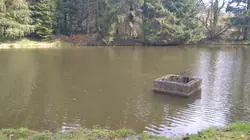 Vente terrain Loupfougères  