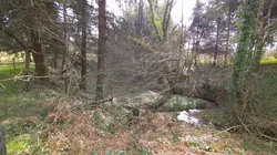 Vente terrain Loupfougères  