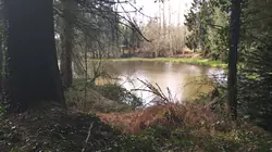 Vente terrain Loupfougères  