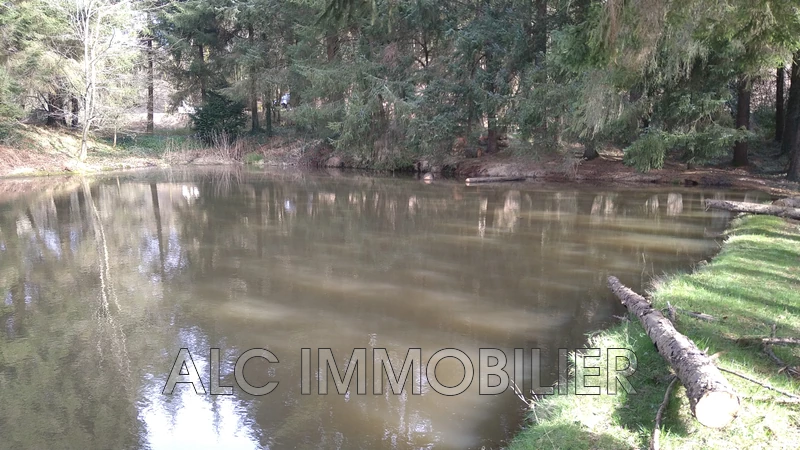 Vente terrain Loupfougères Vente terrain Loupfougères