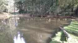 Vente terrain Loupfougères  