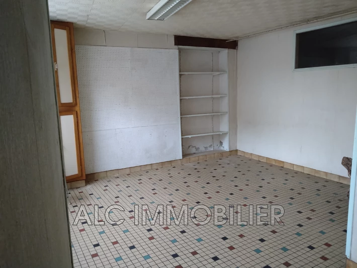 Professionnel immeuble Saint-Pierre-des-Nids  