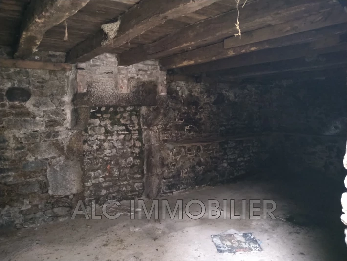 Professionnel immeuble Saint-Pierre-des-Nids  