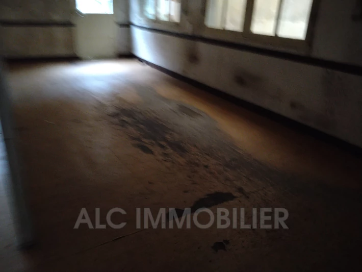 Professionnel immeuble Saint-Pierre-des-Nids  