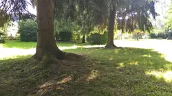 Vente terrain Saint-Léonard-des-Bois  