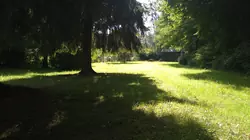 Vente terrain Saint-Léonard-des-Bois  