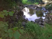 Vente terrain de loisirs Saint-Céneri-le-Gérei  