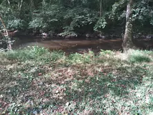 Vente terrain de loisirs Saint-Céneri-le-Gérei  