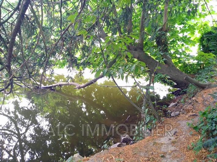 Vente terrain Saint-Aubin-de-Locquenay Vente terrain Saint-Aubin-de-Locquenay