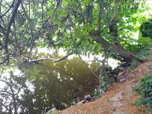 Vente terrain Saint-Aubin-de-Locquenay  