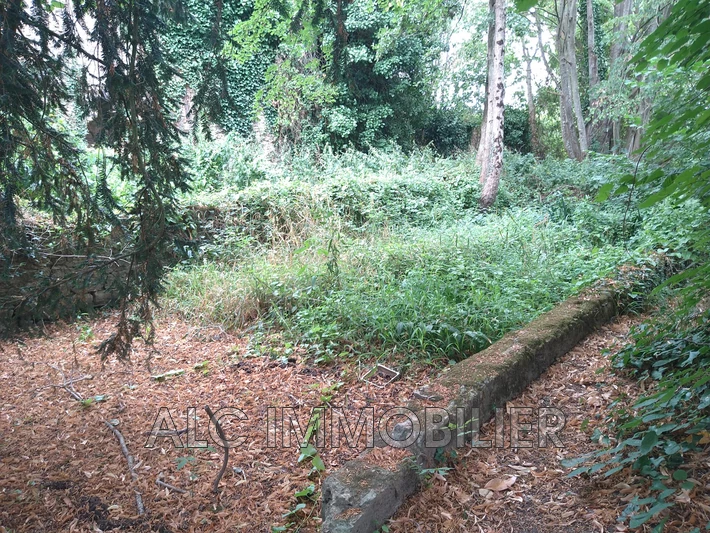 Vente terrain Saint-Aubin-de-Locquenay Vente terrain Saint-Aubin-de-Locquenay