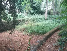 Vente terrain Saint-Aubin-de-Locquenay  