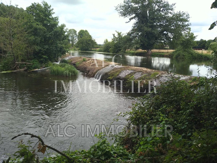 Vente terrain Saint-Aubin-de-Locquenay Vente terrain Saint-Aubin-de-Locquenay