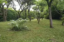 Vente terrain Sougé-le-Ganelon Vente terrain Sougé-le-Ganelon