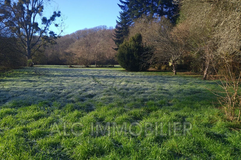 Vente terrain de loisirs Saint-Léonard-des-Bois  