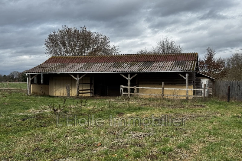 Vente terrain agricole La Chapelle-Montligeon  