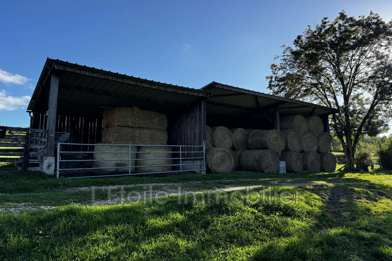 Vente maison Moulins-la-Marche  