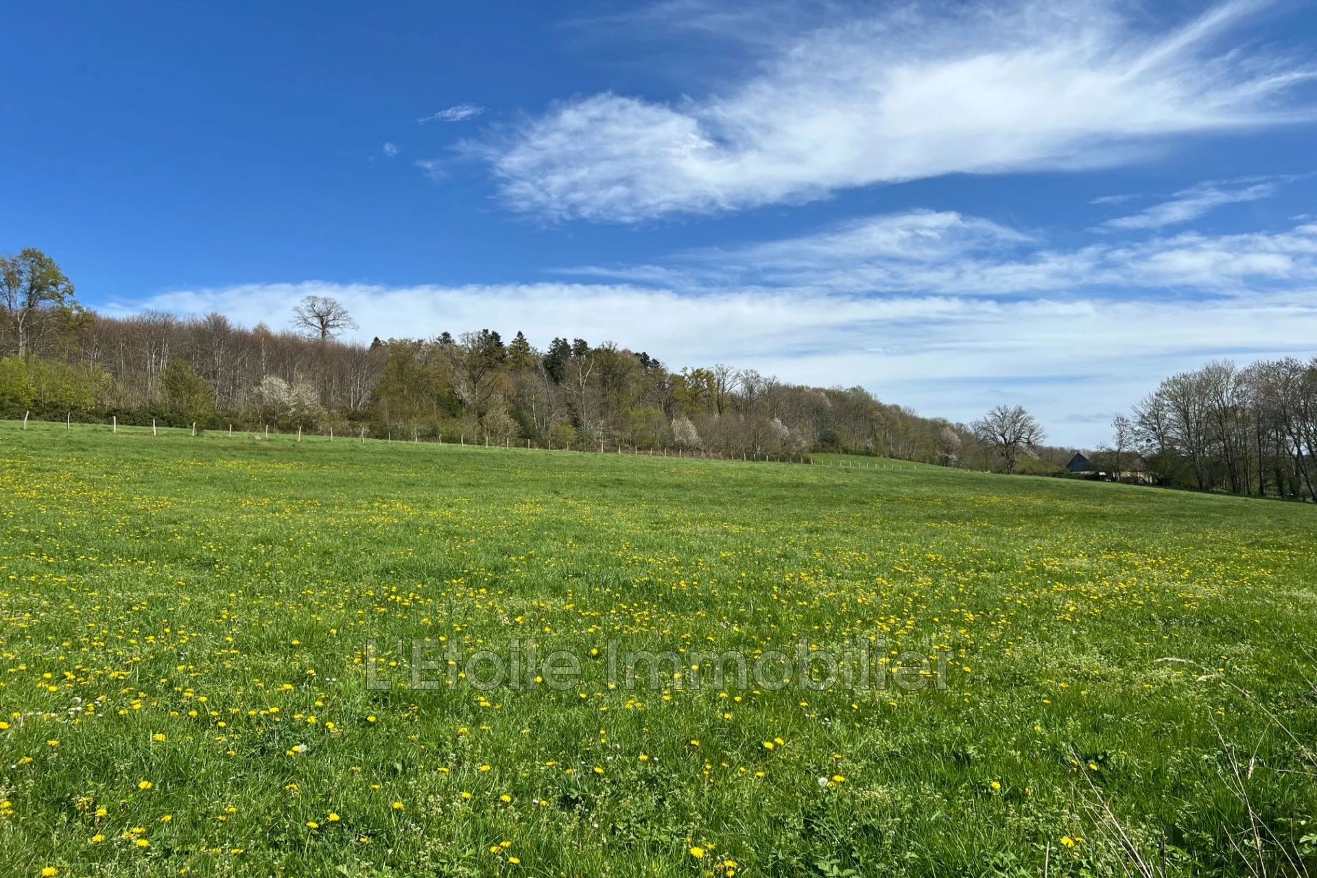 Maison 175 m² · à Mortagne-au-Perche · 175 m² · 106 000 €