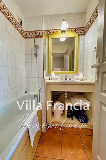 Vente Idéal investisseur Mandelieu-la-Napoule  