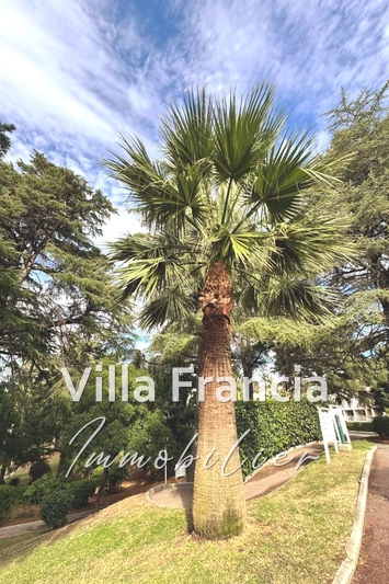 Vente appartement Cannes  