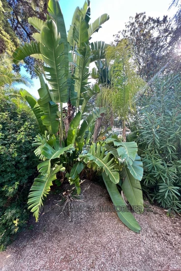 Vente Idéal investisseur Cannes-la-Bocca  Vente Idéal investisseur Cannes-la-Bocca