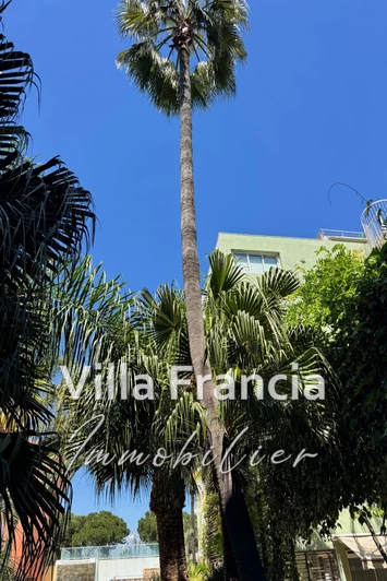 Vente Idéal investisseur Antibes  