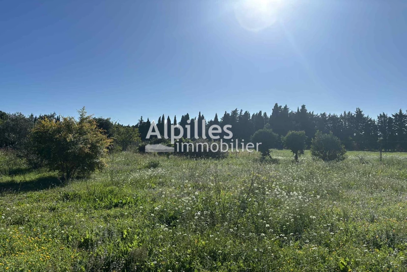 Vente maison Mouriès  