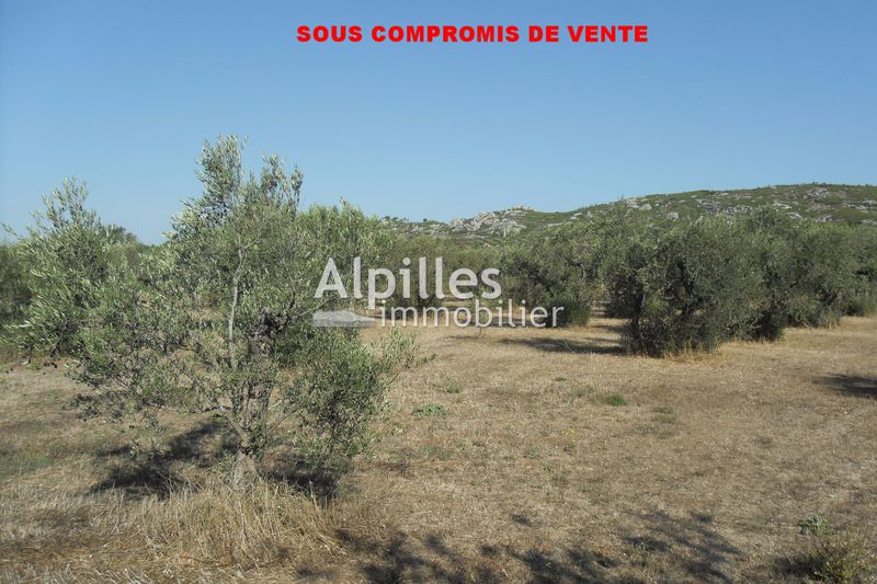Photo Terrain Mouriès Village, achat terrain 760 m²