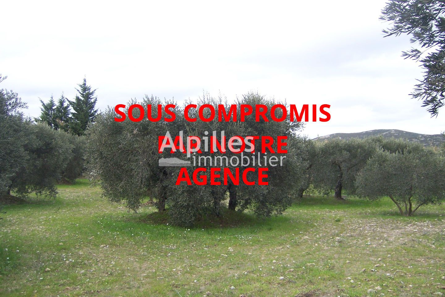 Vente Terrain Agricole Mouries 13890 199 000 Var Immo
